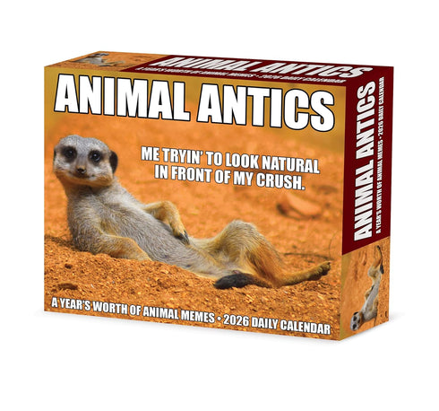 2026 ANIMAL ANTICS DAILY BOXED CALENDAR