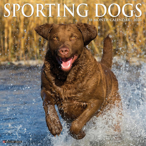2026 SPORTING DOGS WALL CALENDAR