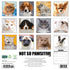 2026 NOT SO PAWSITIVE 12X12 WALL CALENDAR