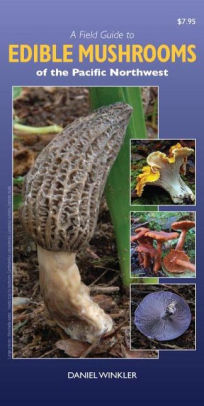 A FIELD GUIDE TO EDIBLE MUSHROOMS PACIFIC NORTHWEST WINKLER. DANIEL