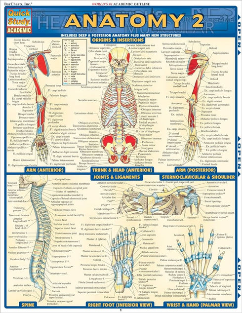 ANATOMY 2