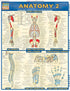 ANATOMY 2