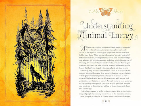 ANIMAL MAGIC: A HANDBOOK OF MYSTICAL ENERGIES AND ENCHANTMENTS - MOONSONG. RIEKA