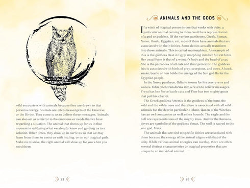 ANIMAL MAGIC: A HANDBOOK OF MYSTICAL ENERGIES AND ENCHANTMENTS - MOONSONG. RIEKA