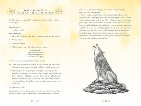 ANIMAL MAGIC: A HANDBOOK OF MYSTICAL ENERGIES AND ENCHANTMENTS - MOONSONG. RIEKA