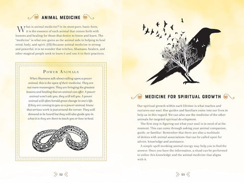 ANIMAL MAGIC: A HANDBOOK OF MYSTICAL ENERGIES AND ENCHANTMENTS - MOONSONG. RIEKA