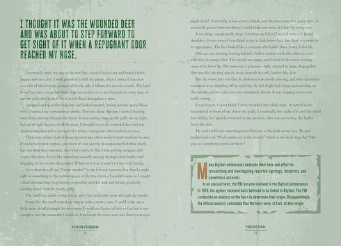 PHANTOM PHENOMENA - DARKNESS PREVAILS