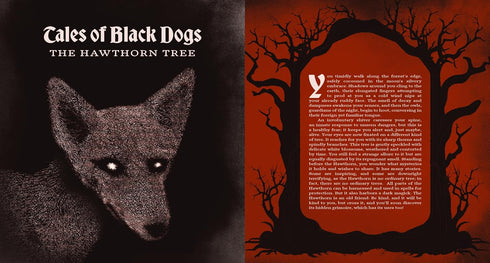 TALES FROM THE WHISPERING WOODS - POWELL. SARAH J. H.