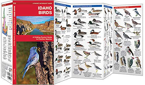IDAHO BIRDS POCKET GUIDE - WATERFORD PRESS