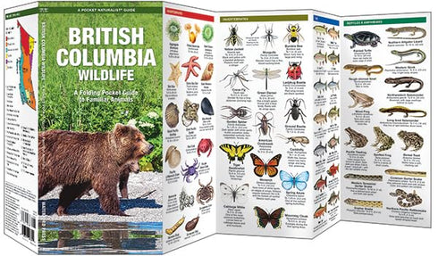 BRITISH COLUMBIA WILDLIFE GUIDE - WATERFORD PRESS