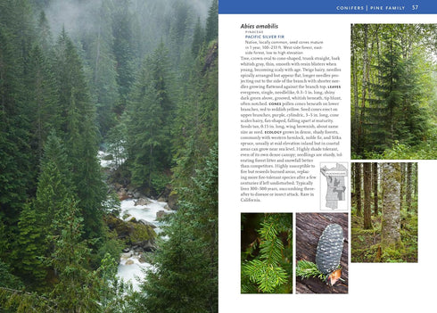 TREES & SHRUBS OF THE PACIFIC NORTHWEST - TURNER. MARK