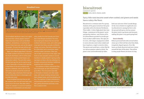 PACIFIC NORTHWEST FORAGING - DEUR. DOUGLAS