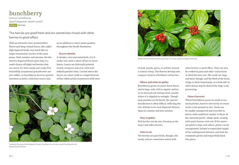 PACIFIC NORTHWEST FORAGING - DEUR. DOUGLAS