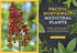 PACIFIC NORTHWEST MEDICINAL PLANTS KLOOS. SCOTT