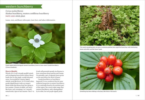 PACIFIC NORTHWEST MEDICINAL PLANTS KLOOS. SCOTT