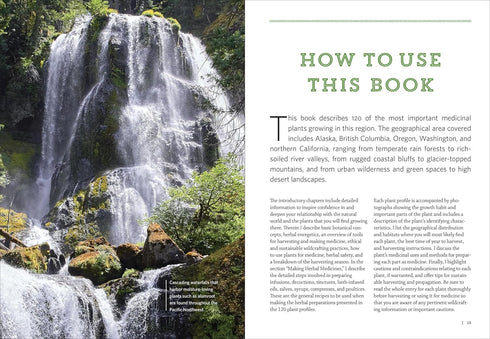 PACIFIC NORTHWEST MEDICINAL PLANTS KLOOS. SCOTT