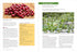 PACIFIC NORTHWEST MEDICINAL PLANTS KLOOS. SCOTT