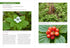 PACIFIC NORTHWEST MEDICINAL PLANTS KLOOS. SCOTT