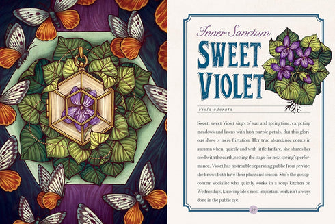 THE ILLUSTRATED HERBIARY: GUIDANCE AND RITUALS FROM 36 BEWITCHING BOTANICALS - T