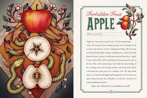 THE ILLUSTRATED HERBIARY: GUIDANCE AND RITUALS FROM 36 BEWITCHING BOTANICALS - T