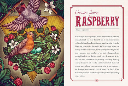 THE ILLUSTRATED HERBIARY: GUIDANCE AND RITUALS FROM 36 BEWITCHING BOTANICALS - T