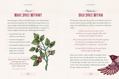 THE ILLUSTRATED HERBIARY: GUIDANCE AND RITUALS FROM 36 BEWITCHING BOTANICALS - T