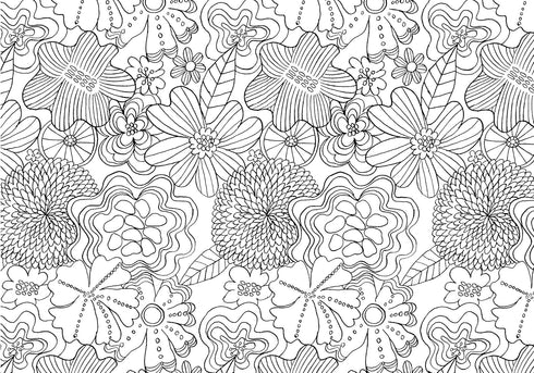THE MINDFULNESS COLORING BOOK- FARRARONS. EMMA
