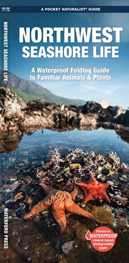 NORTHWEST SEASHORE LIFE POCKET GUIDE - WATERFORD PRESS