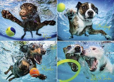 UNDERWATER DOGS 2 1000 PIECE JIGSAW PUZZLE - CASTEEL. SETH