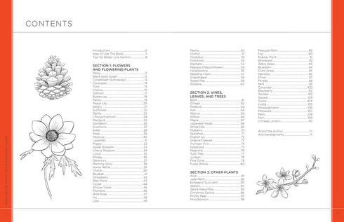DRAW LIKE AN ARTIST: 100 FLOWERS AND PLANTS - WASHBURN. MELISSA