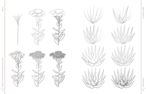 DRAW LIKE AN ARTIST: 100 FLOWERS AND PLANTS - WASHBURN. MELISSA