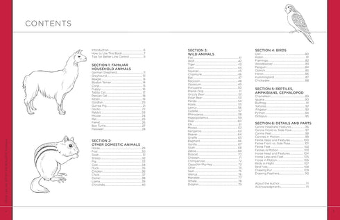 DRAW LIKE AN ARTIST: 100 REALISTIC ANIMALS - WASHBURN. MELISSA