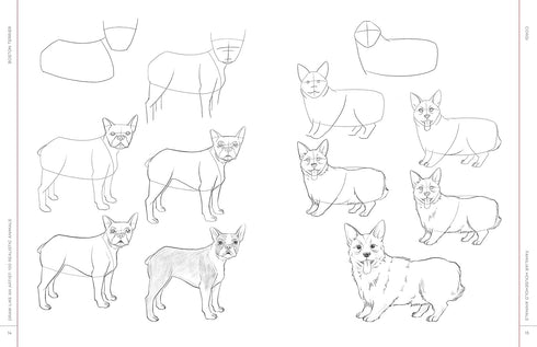 DRAW LIKE AN ARTIST: 100 REALISTIC ANIMALS - WASHBURN. MELISSA