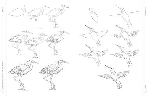 DRAW LIKE AN ARTIST: 100 REALISTIC ANIMALS - WASHBURN. MELISSA