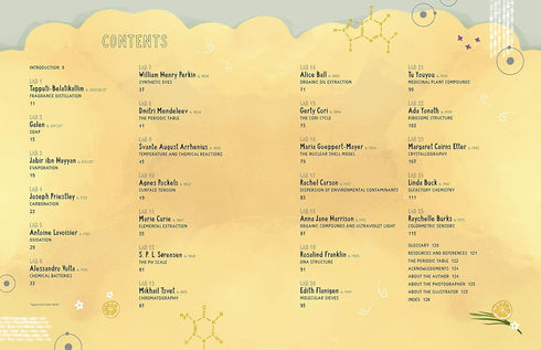 THE KITCHEN PANTRY SCIENTIST CHEMISTRY FOR KIDS - HEINECKE. LIZ LEE