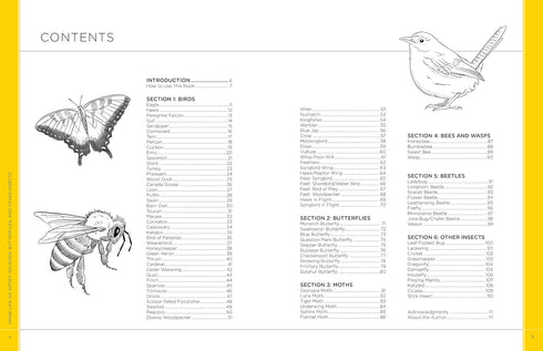 DRAW LIKE AN ARTIST: 100 BIRDS, BUTTERFLIES, & OTHER INSECTS - WASHBURN. MELISSA