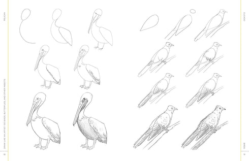 DRAW LIKE AN ARTIST: 100 BIRDS, BUTTERFLIES, & OTHER INSECTS - WASHBURN. MELISSA