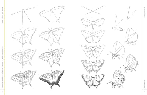 DRAW LIKE AN ARTIST: 100 BIRDS, BUTTERFLIES, & OTHER INSECTS - WASHBURN. MELISSA