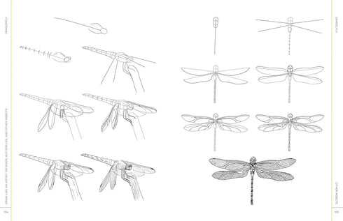 DRAW LIKE AN ARTIST: 100 BIRDS, BUTTERFLIES, & OTHER INSECTS - WASHBURN. MELISSA