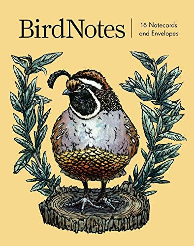 BIRDNOTES: 16 NOTECARDS AND ENVELOPES - BIRDNOTE ; POOLE, EMILY