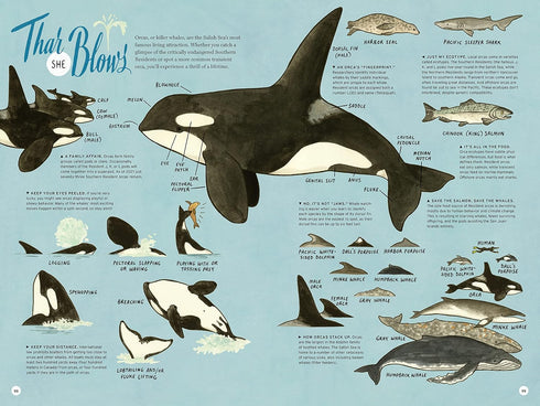 ON ISLAND TIME: A TRAVELER'S ATLAS: ILLUSTRATED ADVENTURES ON AND AROUND THE ISL