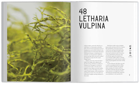 THE UNIVERSE IN 100 COLORS - THRASHER. TYLER; MUDGE. TERRY