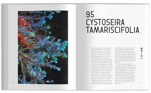 THE UNIVERSE IN 100 COLORS - THRASHER. TYLER; MUDGE. TERRY