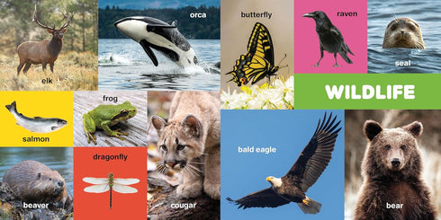 MY FIRST 100 PACIFIC NORTHWEST WORDS - LITTLE BIGFOOT