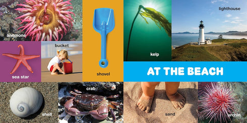 MY FIRST 100 PACIFIC NORTHWEST WORDS - LITTLE BIGFOOT