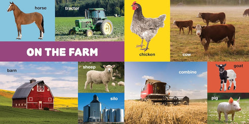 MY FIRST 100 PACIFIC NORTHWEST WORDS - LITTLE BIGFOOT