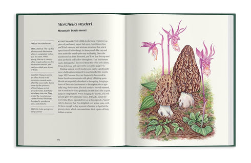 FIELD NOTES FROM A FUNGI FORAGER - RODRIGUEZ. ASHLEY; ENGLAND. LIBBY