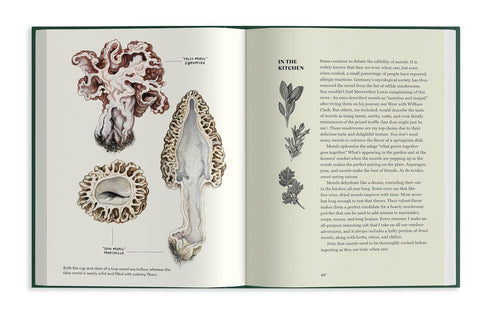 FIELD NOTES FROM A FUNGI FORAGER - RODRIGUEZ. ASHLEY; ENGLAND. LIBBY