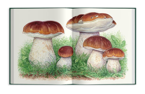 FIELD NOTES FROM A FUNGI FORAGER - RODRIGUEZ. ASHLEY; ENGLAND. LIBBY