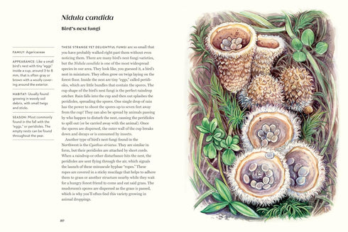FIELD NOTES FROM A FUNGI FORAGER - RODRIGUEZ. ASHLEY; ENGLAND. LIBBY